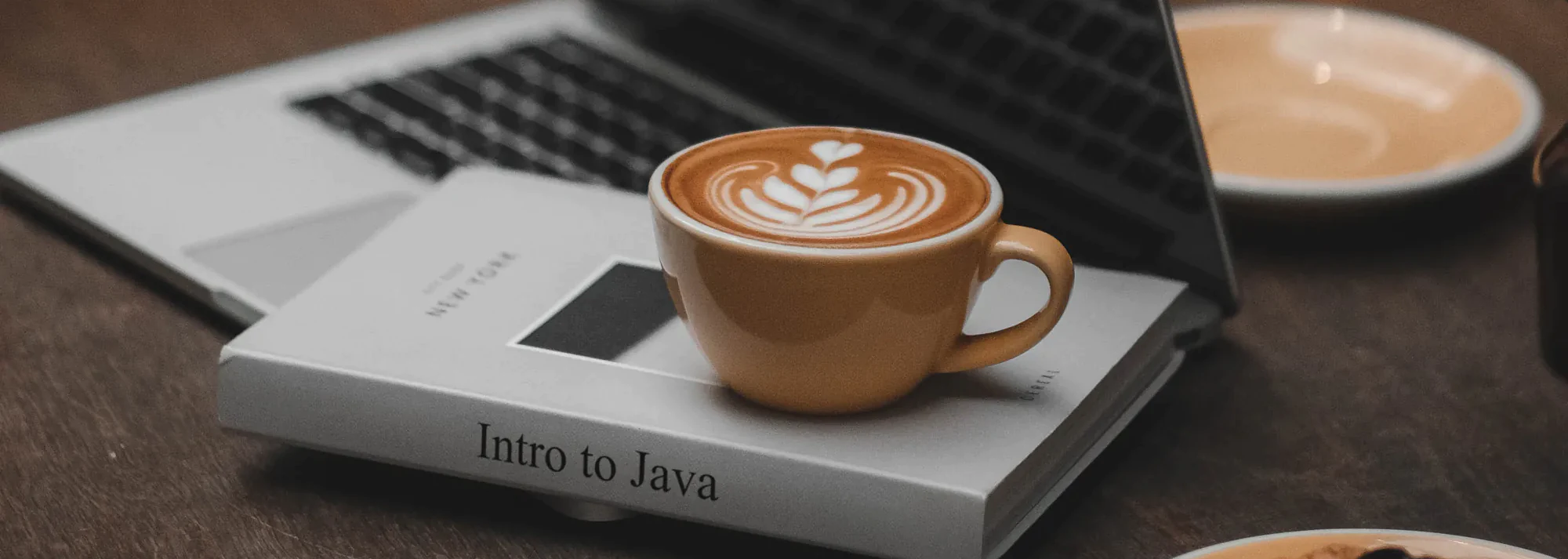 Decorative intro photo for: Chapter 1: Introduction to Java