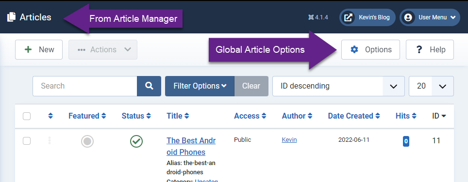 access global article options