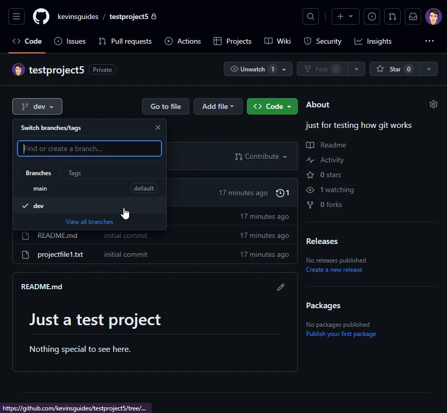 git-dev-branch-on-github