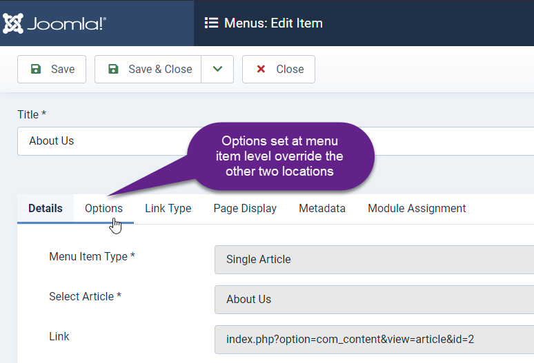 access-article-options-from-menu-item