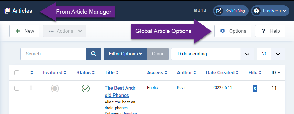 Access Global Article Options