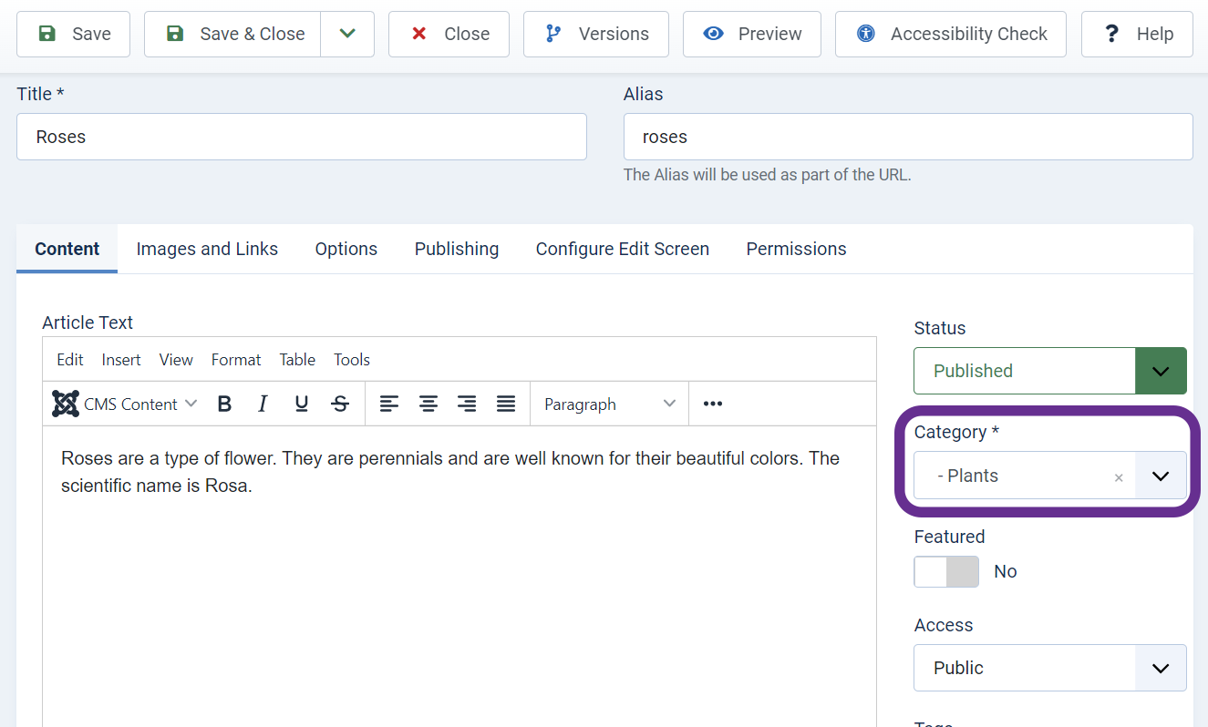 Assigning an Article to a Category