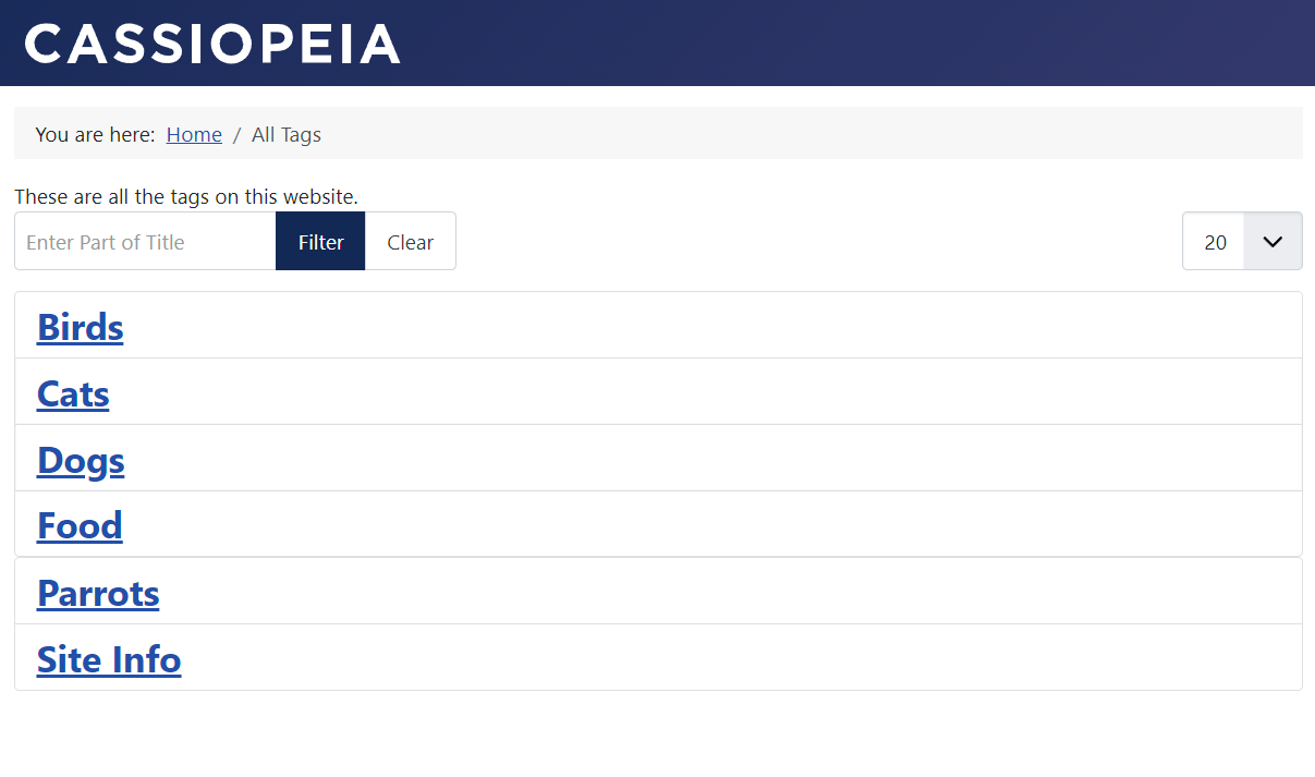 front-end-all-tags-view