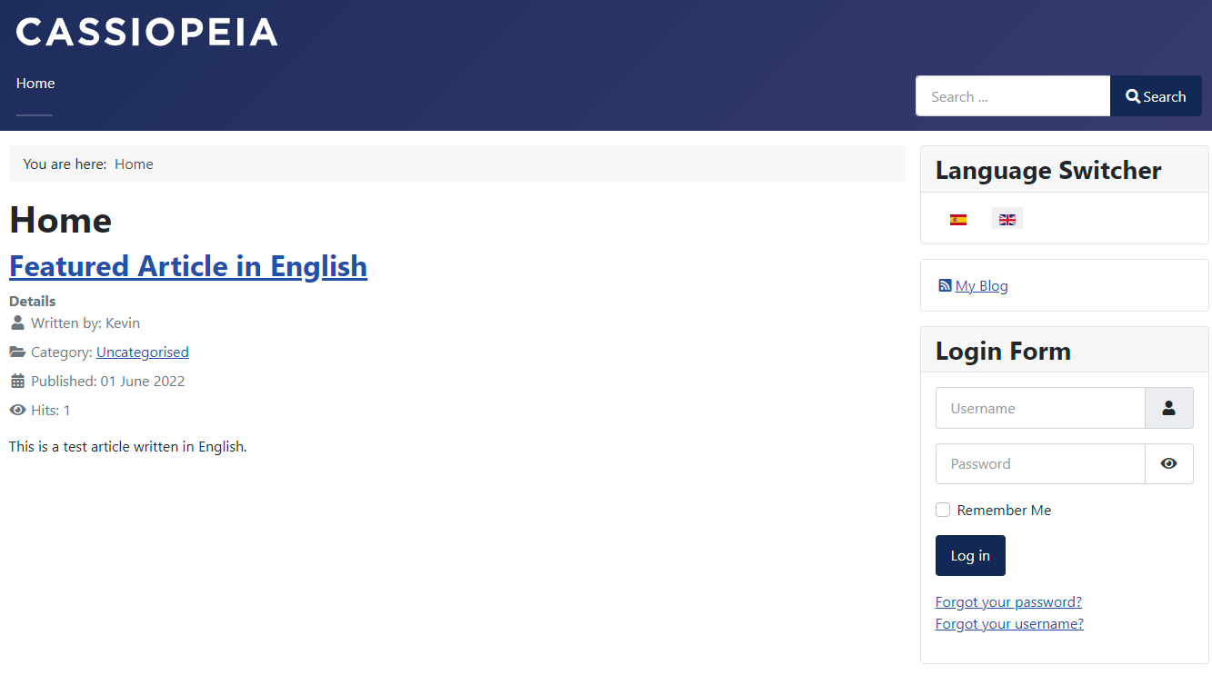 Website in English