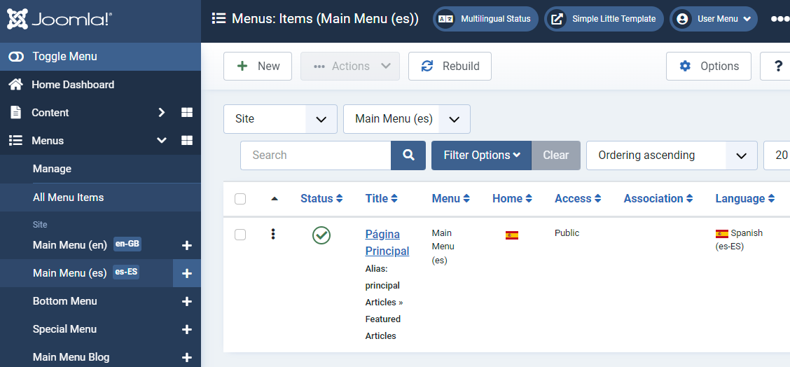 Homepage Set Spanish