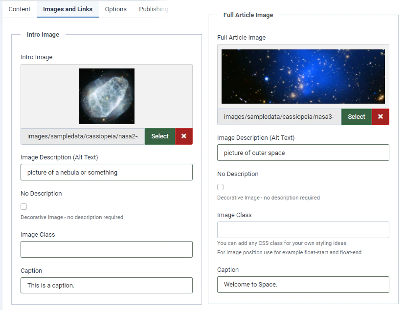 What my article images look like after selecting