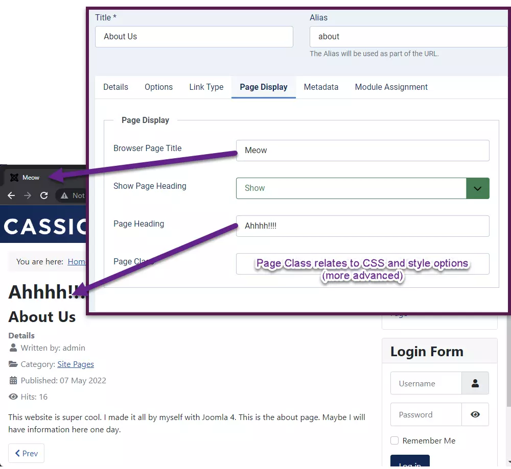 page-display-options