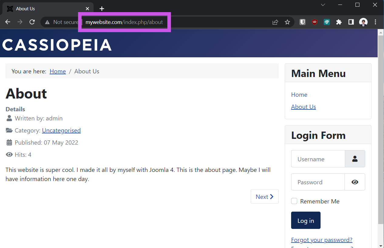 New SEO Link
