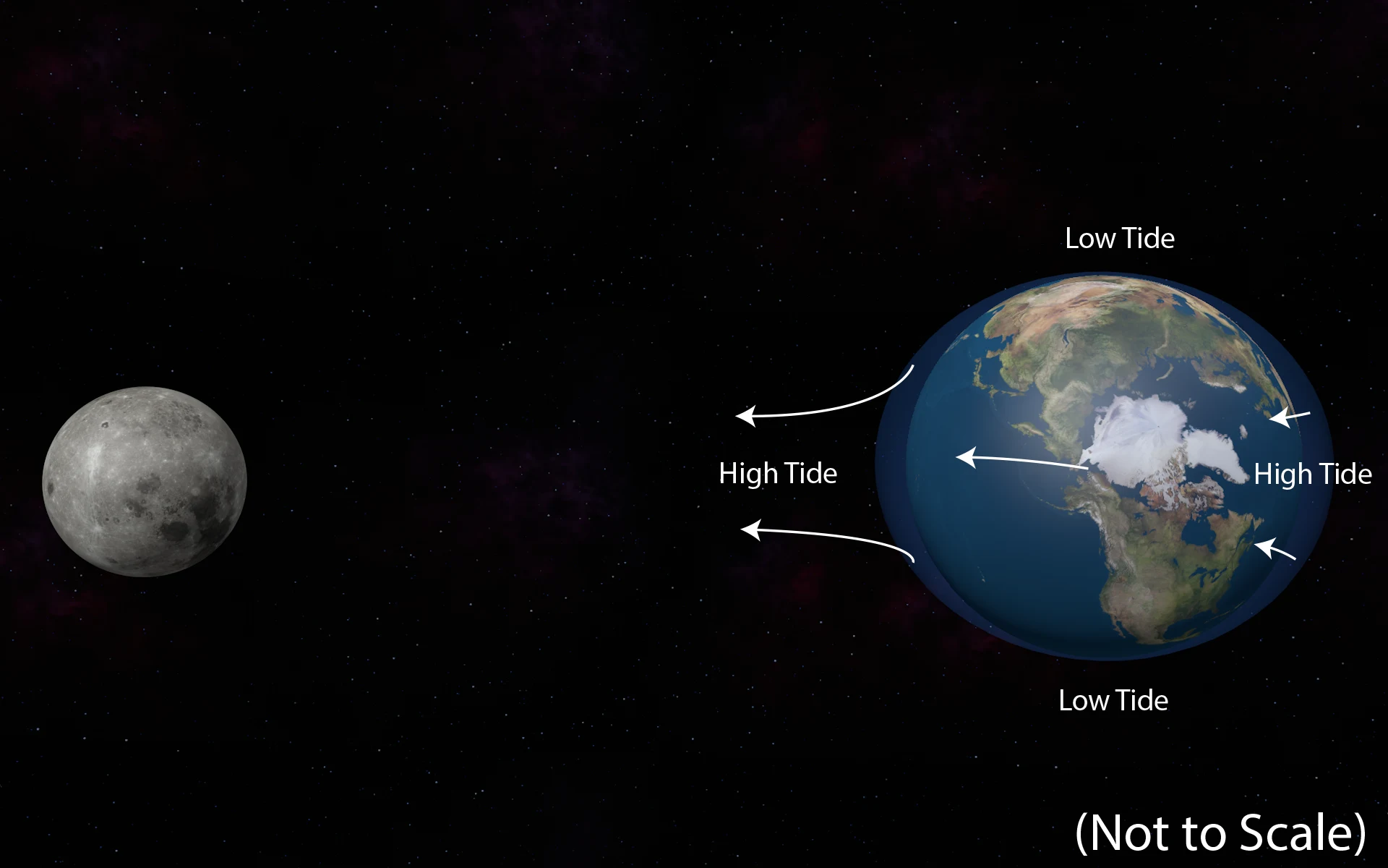 Tidal Forces Cause Swelling Of Oceans